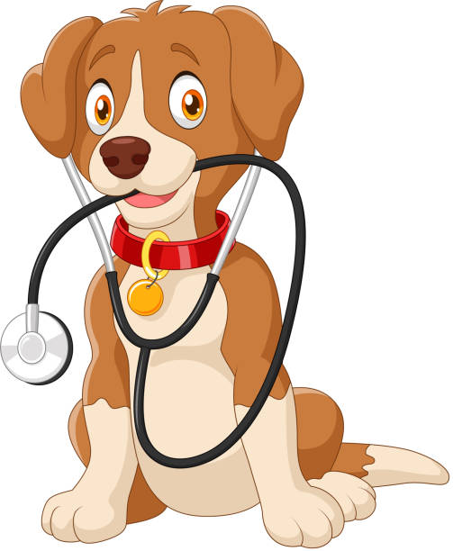 Cute Dog Sitting With Stethoscope Stock Illustration - Download Image Now -  Doctor, Dog, Animal - iStock
