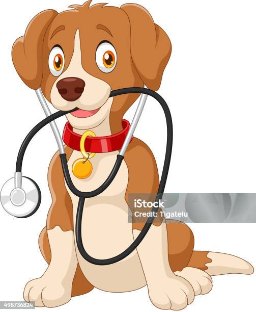 Cute Dog Sitting With Stethoscope Stock Illustration - Download Image Now -  Doctor, Dog, Animal - iStock