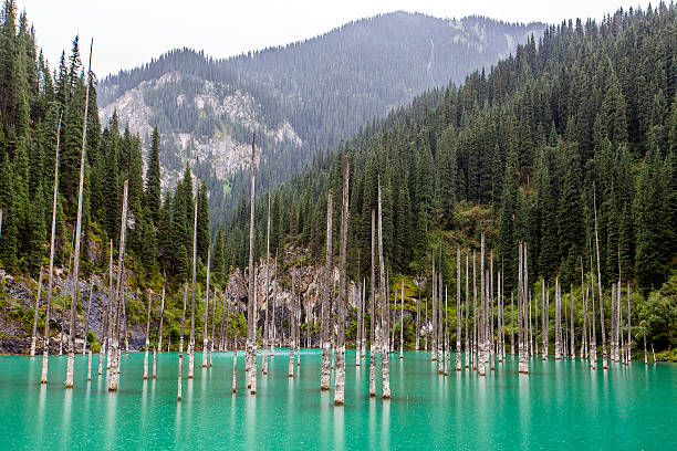 istock Kaindy Lake. Kazakhstan. 498736940