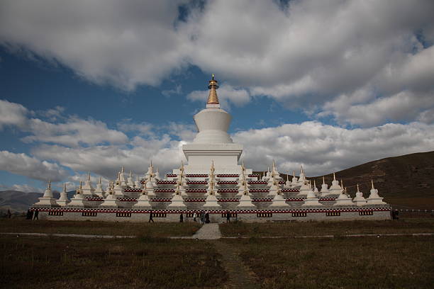 tibetano blanco namgyal tower - lamaism fotografías e imágenes de stock