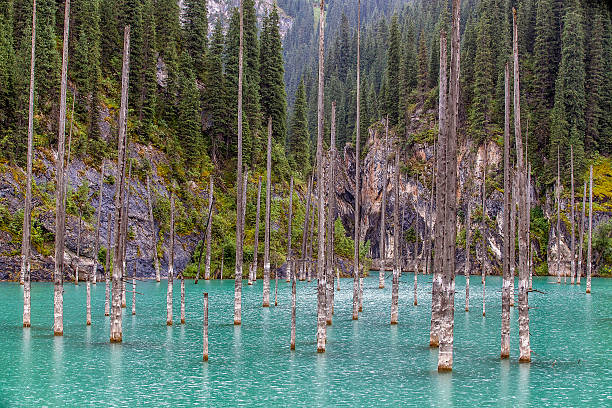 istock Kaindy Lake. Kazakhstan. 498737190