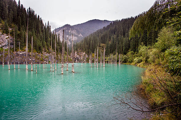 istock Kaindy Lake. Kazakhstan. 498737276