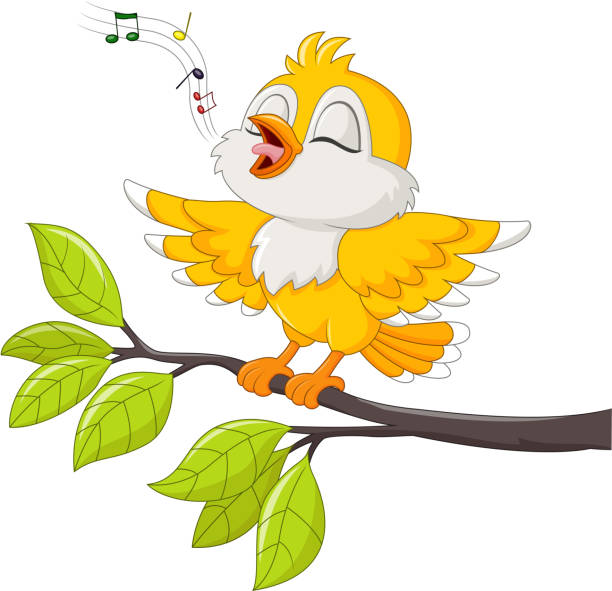 かわいいイエローの鳥の歌声で分離白背景 - birdsong点のイラスト素材／クリップアート素材／マンガ素材／アイコン素材