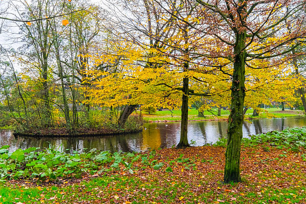 istock Peaceful Autumn view from Vondelpark, Amsterdam 498740690