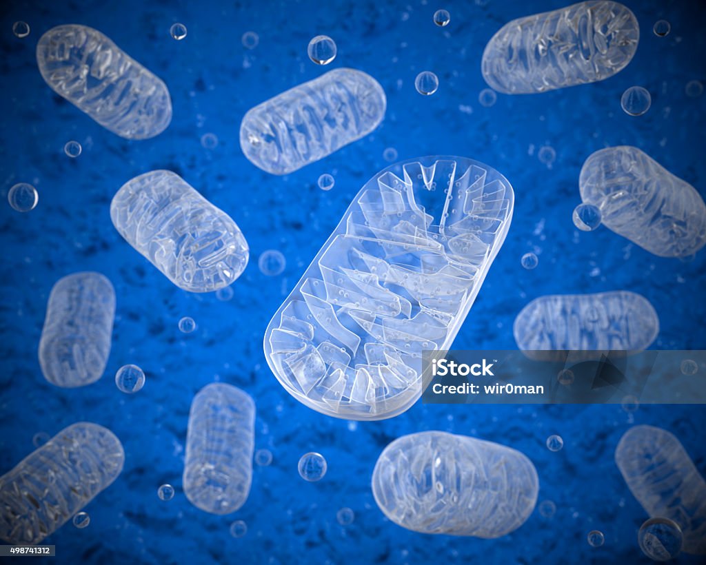 Mitochondria Mitochondria on a blue background Mitochondrion Stock Photo