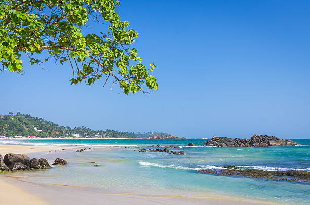 istock Tropical beach in Sri Lanka 498742150