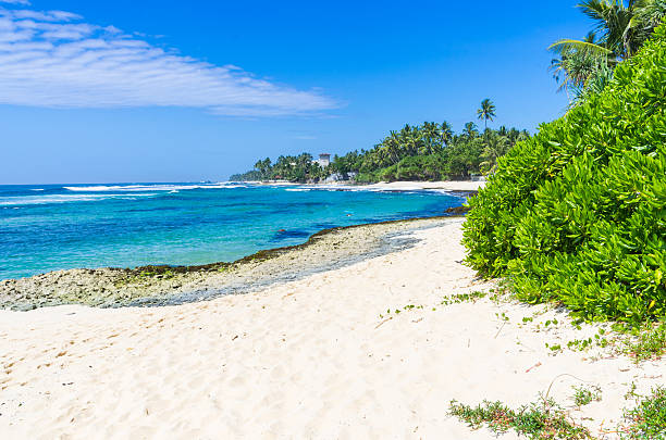 istock Tropical beach in Sri Lanka 498745126