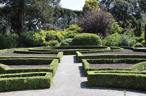 istock Garden of Maze 498746567
