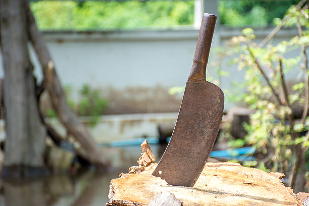 istock Old cleaver on Stump with flood in background 498747544