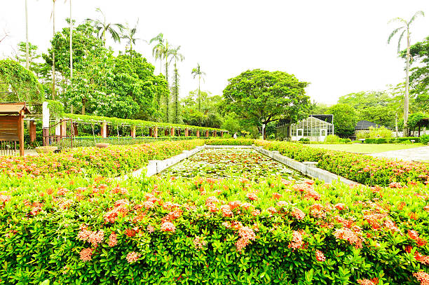 The Taipei Botanical Garden is located in the Nanhai Academy on Nanhai Road in Zhongzheng District, Taipei, Taiwan. The Botanical Garden covers an area of about 15 hectares and includes over 1,500 plant species