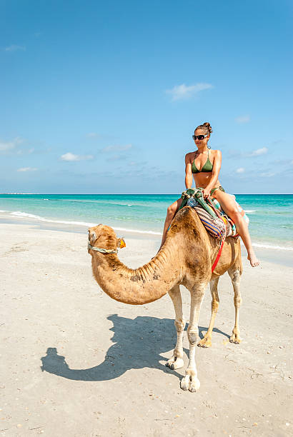 istock Pretty Young Woman Sitting on a Camel 498749229