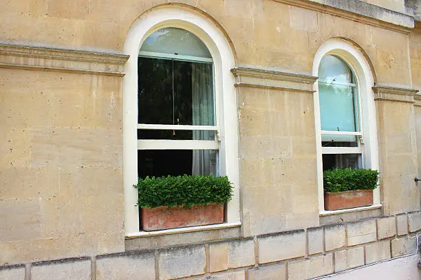 Photo showing two attractive terracotta window boxes with a Bath stone surround and windowsill painted white in colour. The window boxes have been planted with a mini hedge of clipped evergreen box / boxwood / buxus sempervirens, and look rather French with their overall appearance.