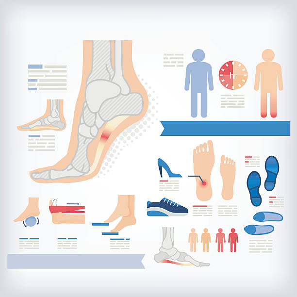 Health care/heel pain vector art illustration