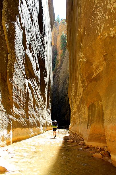 istock Hiking in a canyon 498750787