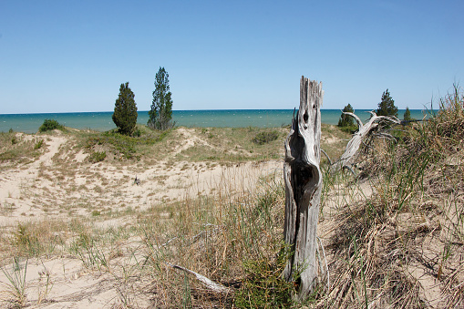 Sparsely Vegetated Sand Dune Overlooking Lake Huron - Pinery Provincial Park, ON, Canada
