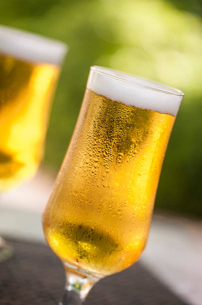 gläser bier - serving drink beer garden beer glass stock-fotos und bilder