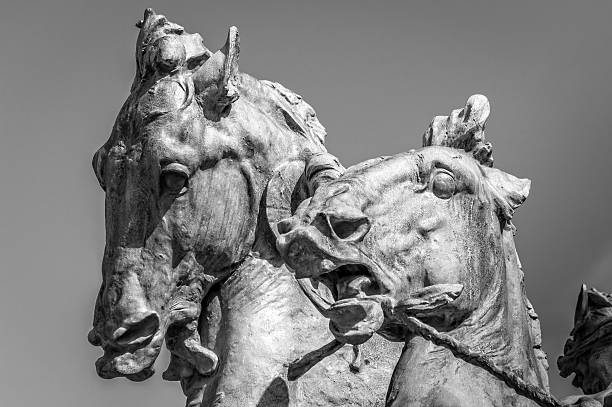 istock Monochrome horses heads, statue in black and white 498753963