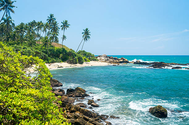 istock Tropical beach in Sri Lanka 498758840