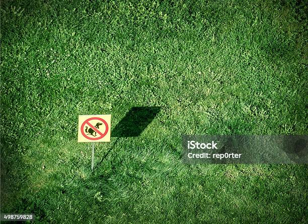 No Dogs Allowed Stock Photo - Download Image Now - 2015, Animal Dung, Close-up