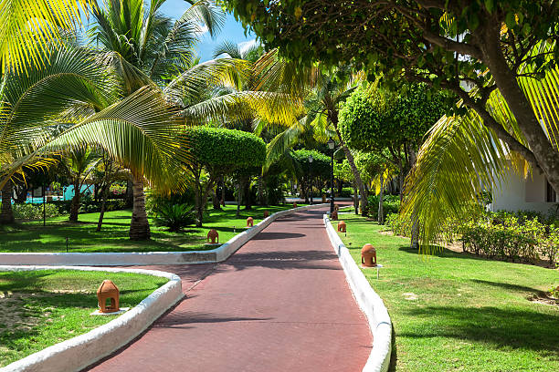 istock Way to beach in tropical resort 498759884