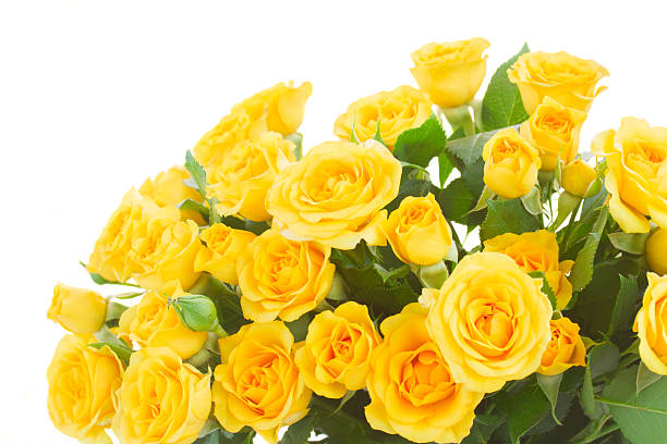 istock bouquet of fresh roses 498763942