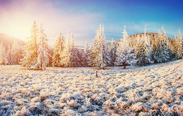 istock Winter landscape glowing by sunlight. Dramatic wintry scene. Car 498764002