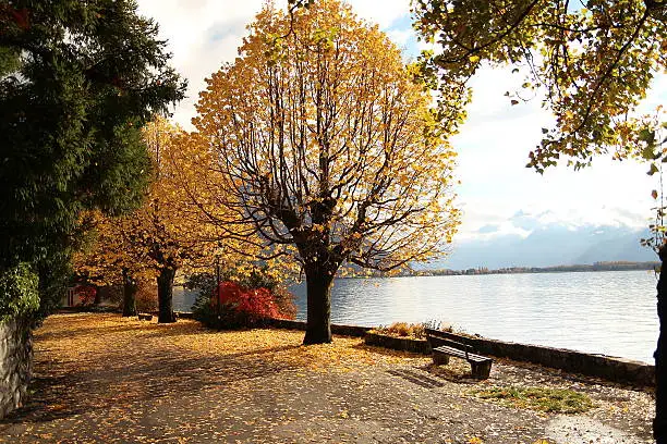 Photo of Autumn in Montreux