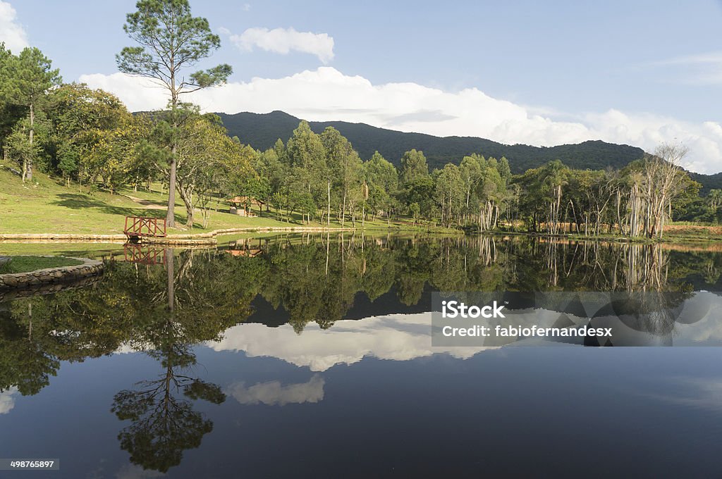 Countryside Lake Beautiful reflection on Lake at Guaxinduva farm, Brazil City Break Stock Photo