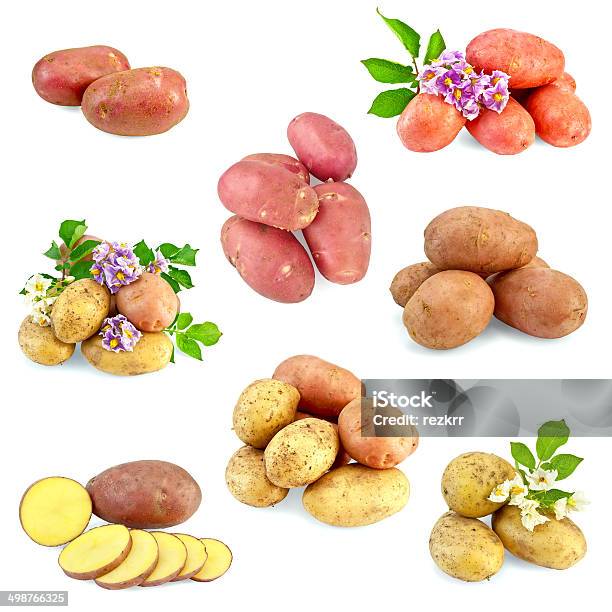 Potatoes Different Set Stock Photo - Download Image Now - Agriculture, Carbohydrate - Food Type, Collection