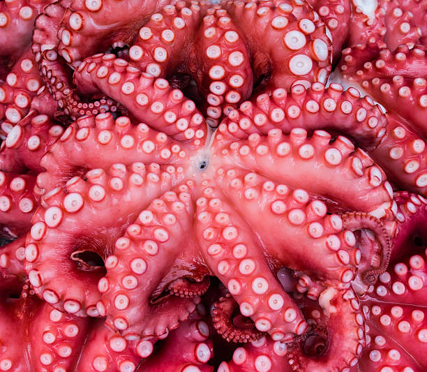 istock Japanese octopus at the market 498766521