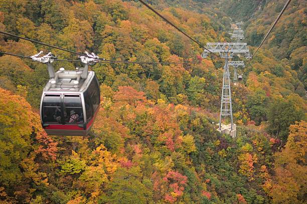 istock Ropeway lift through vibrant Autumn foliage 498766660
