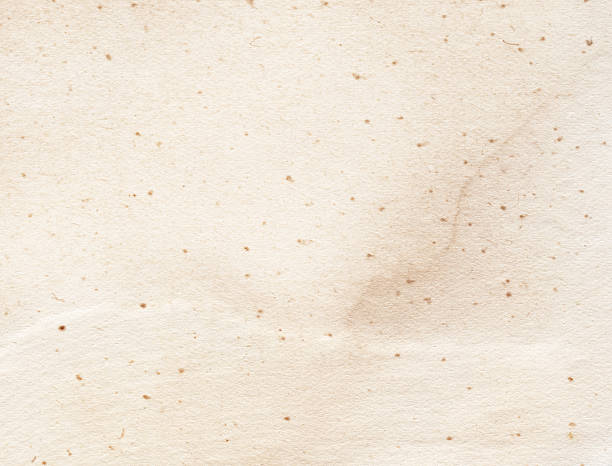 istock Brown recycled paper texture made from wood 498767136