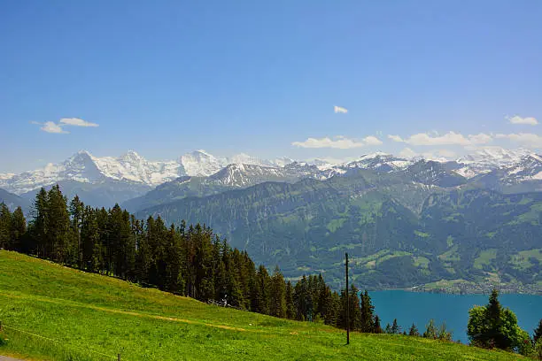 Panorama with alpine meadow from Niederhorn  Switzerland on summer