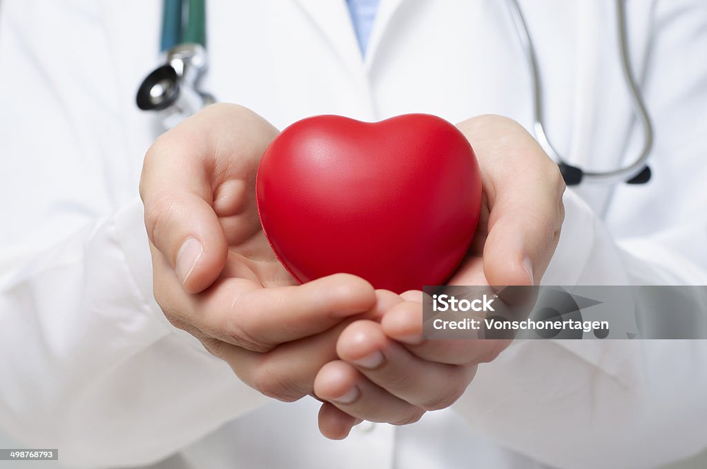 Doctor protecting a heart Female doctor protecting a red heart with her hands Adult Stock Photo