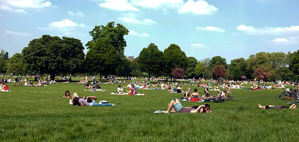 personas que descansan en hierba en el parque - hackney fotografías e imágenes de stock