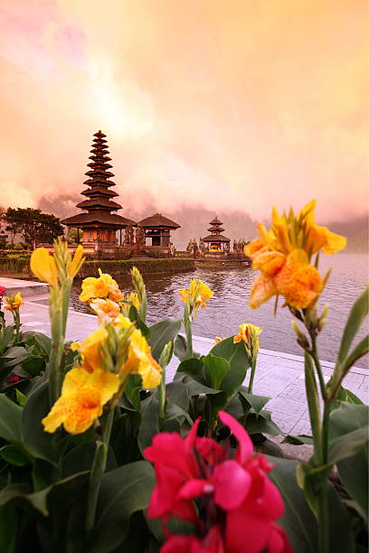 istock ASIA BALI ULUN DANU TEMPLE 498769733