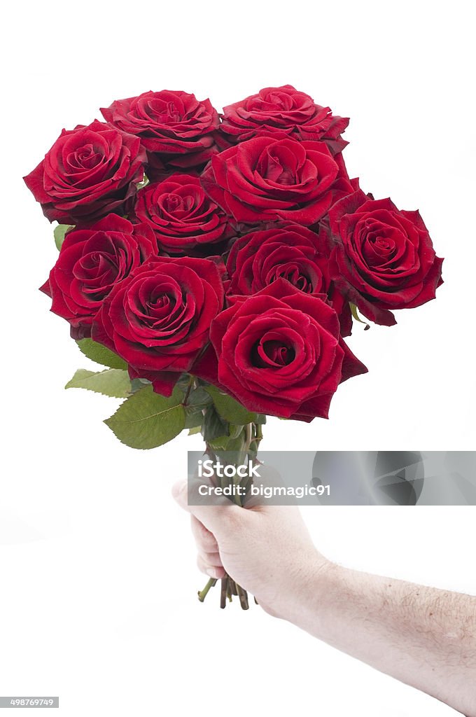 Red roses for you Red roses for you. Bouquet in my hand Bunch of Flowers Stock Photo