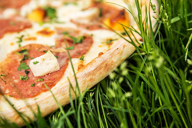 Pizza on grass