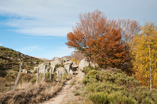 Autumn landscape of the Cevennes National Park – France