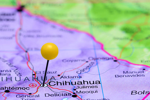istock Chihuahua pinned on a map of Mexico 498772048
