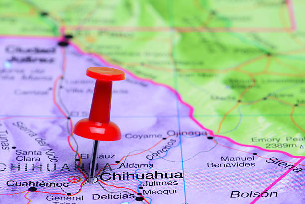 istock Chihuahua pinned on a map of Mexico 498772122