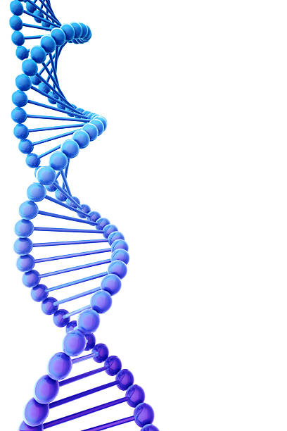 Blue DNA helix with copyspace stock photo