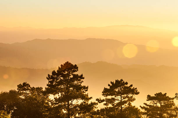 istock Huai Nam Dang National Park 498785847