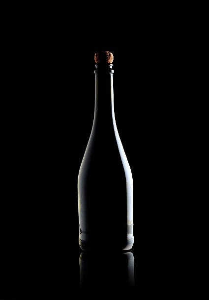 istock bottle of champagne 498786183