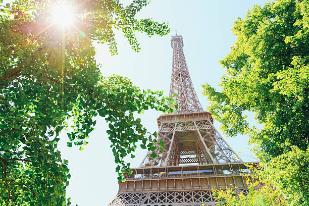 istock Looking up at Eiffel tower in Paris, France 498786417