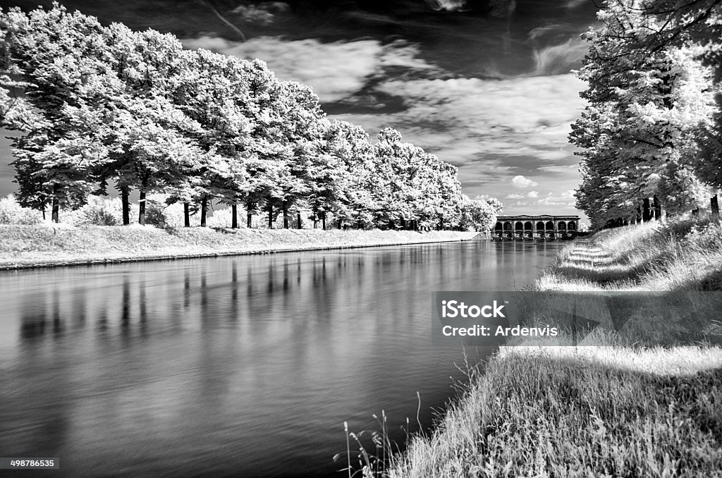 Lunga esposizione a raggi infrarossi, fiume e dike foresta - Foto stock royalty-free di Acqua