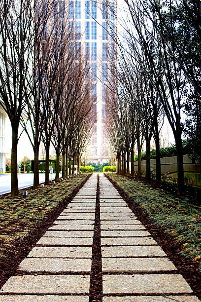 istock Stone Path Leading to the City 498788463