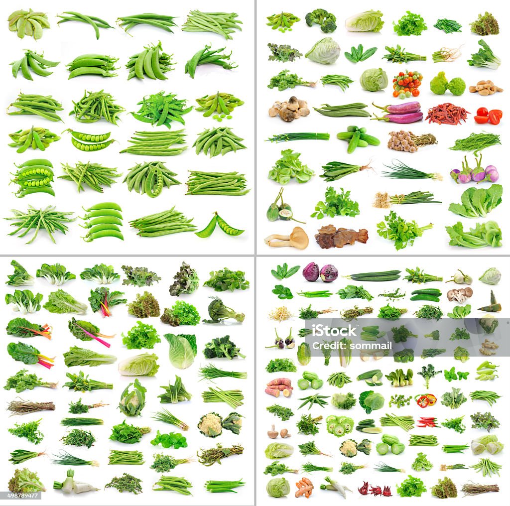 Vegetables collection isolated on white background Bamboo Shoot Stock Photo