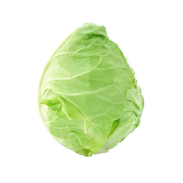 istock An image of a head of fresh cabbage 498790739