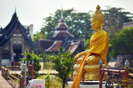 Golden Buddha in Wat chedi luang, Chiang mai, Thailand